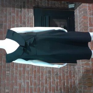 Serena Williams dress